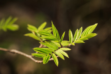 Similar image 11418793