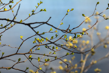 Similar image 11418519