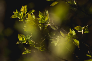 Similar image 11418795