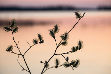 Similar image 11418522