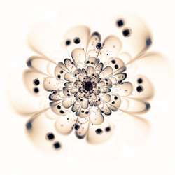 Similar image 11434057