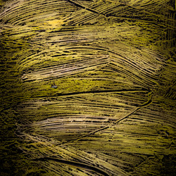 Similar image 11434061