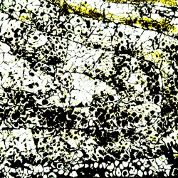 Similar image 11434081