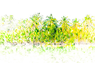 Similar image 11434084