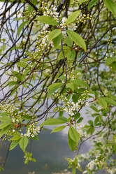 Similar image 11422428