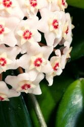 Similar image 11423742