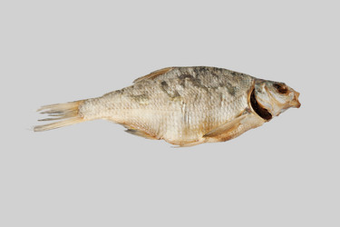 Similar image 11418197