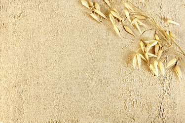 Similar image 11419349