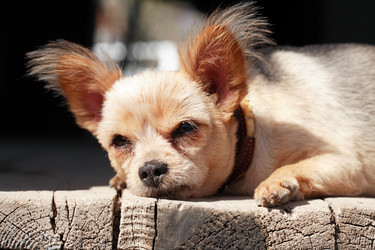 Similar image 11419613