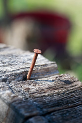 Similar image 11419614