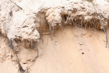 Similar image 11419615