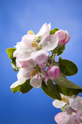 Similar image 11418796