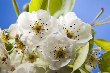 Similar image 11418797