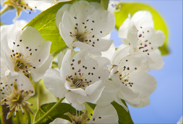 Similar image 11418544