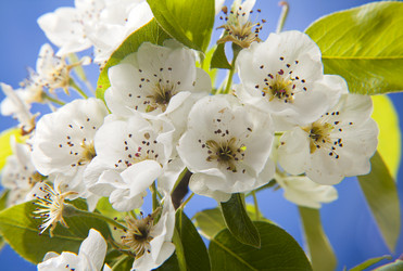 Similar image 11418428