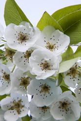 Similar image 11418582