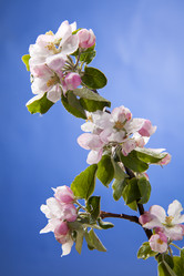 Similar image 11418523