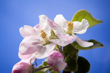 Similar image 11418524