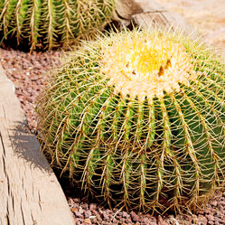 Similar image 11431547