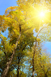 Similar image 11418596