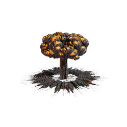 Similar image 11418948