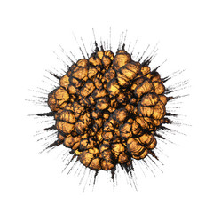 Similar image 11418950