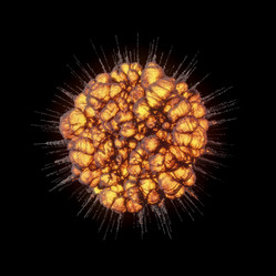 Similar image 11418952