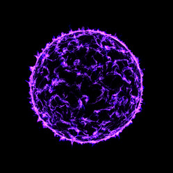 Similar image 11419787