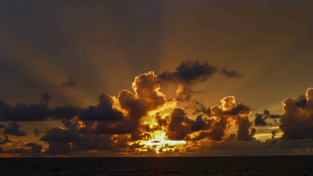 Similar image 11419125