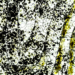 Similar image 11434092