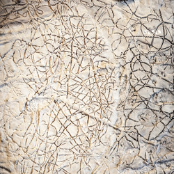 Similar image 11434107