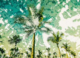 Similar image 11434112