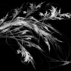 Similar image 11434174