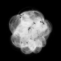 Similar image 11434193