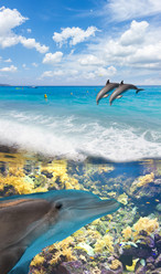 Similar image 11425766