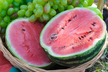 Similar image 11419640