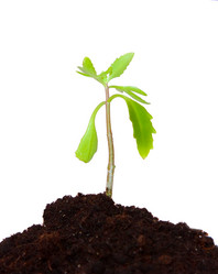 Similar image 11419617