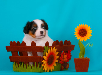 Similar image 11419742