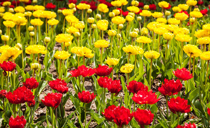 Similar image 11419965