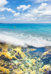 Similar image 11425834