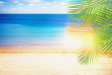 Similar image 11425835