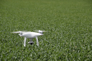 Similar image 11425062