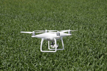 Similar image 11425063