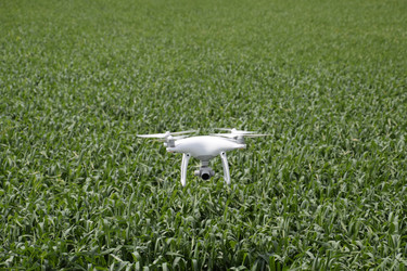 Similar image 11425064