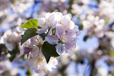 Similar image 11419896