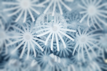 Similar image 11419873