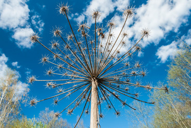 Similar image 11424492