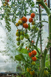 Similar image 11420013