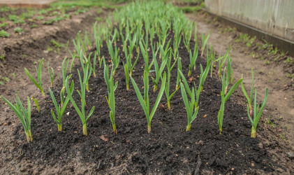 Similar image 11420015