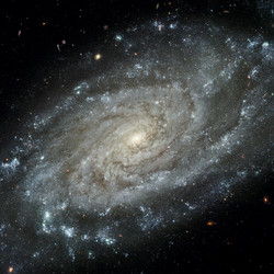 Similar image 11421915